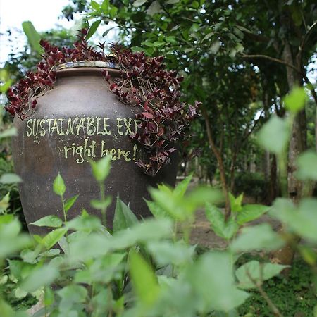 Thuy Bieu Homestay Хюэ Экстерьер фото