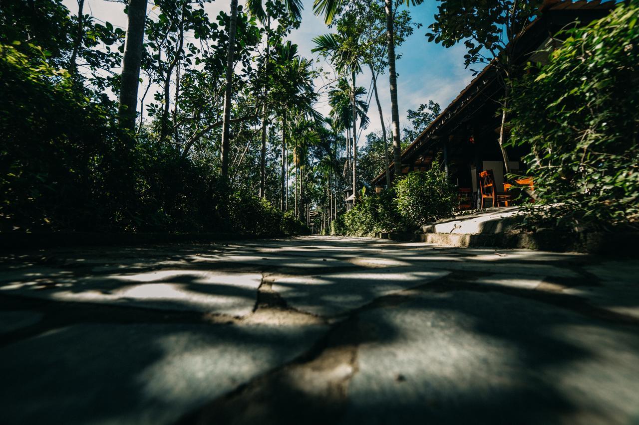 Thuy Bieu Homestay Хюэ Номер фото
