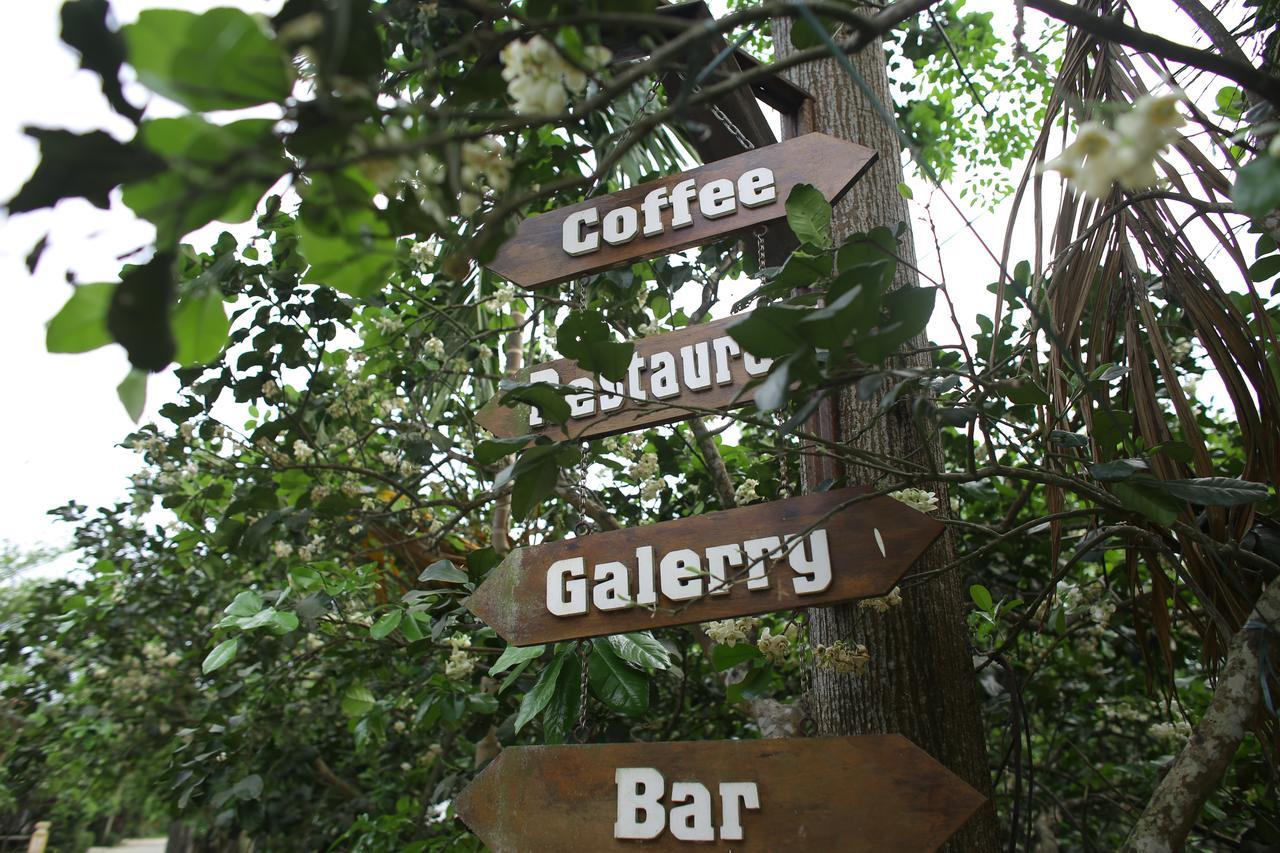 Thuy Bieu Homestay Хюэ Экстерьер фото